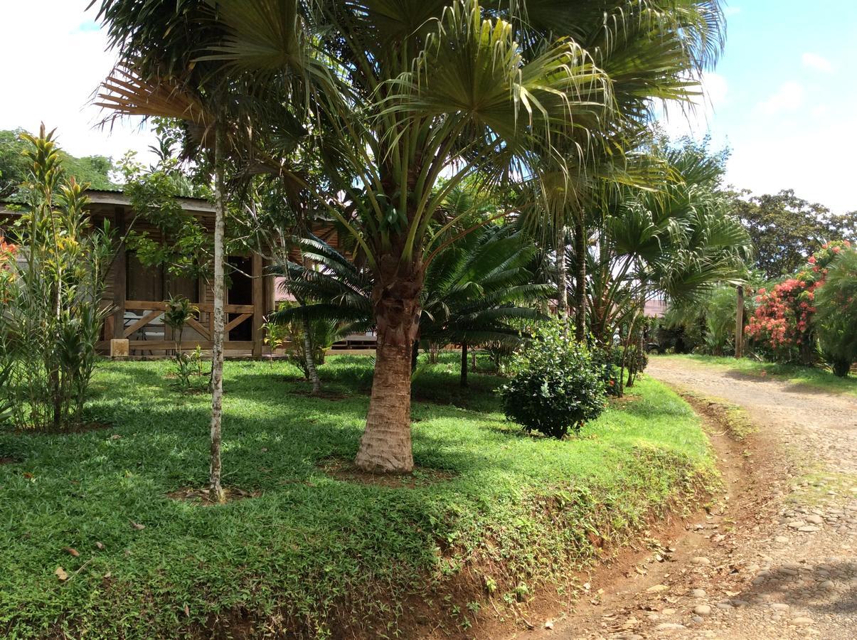 Boca Tapada Hotel Pedacito De Cielo מראה חיצוני תמונה