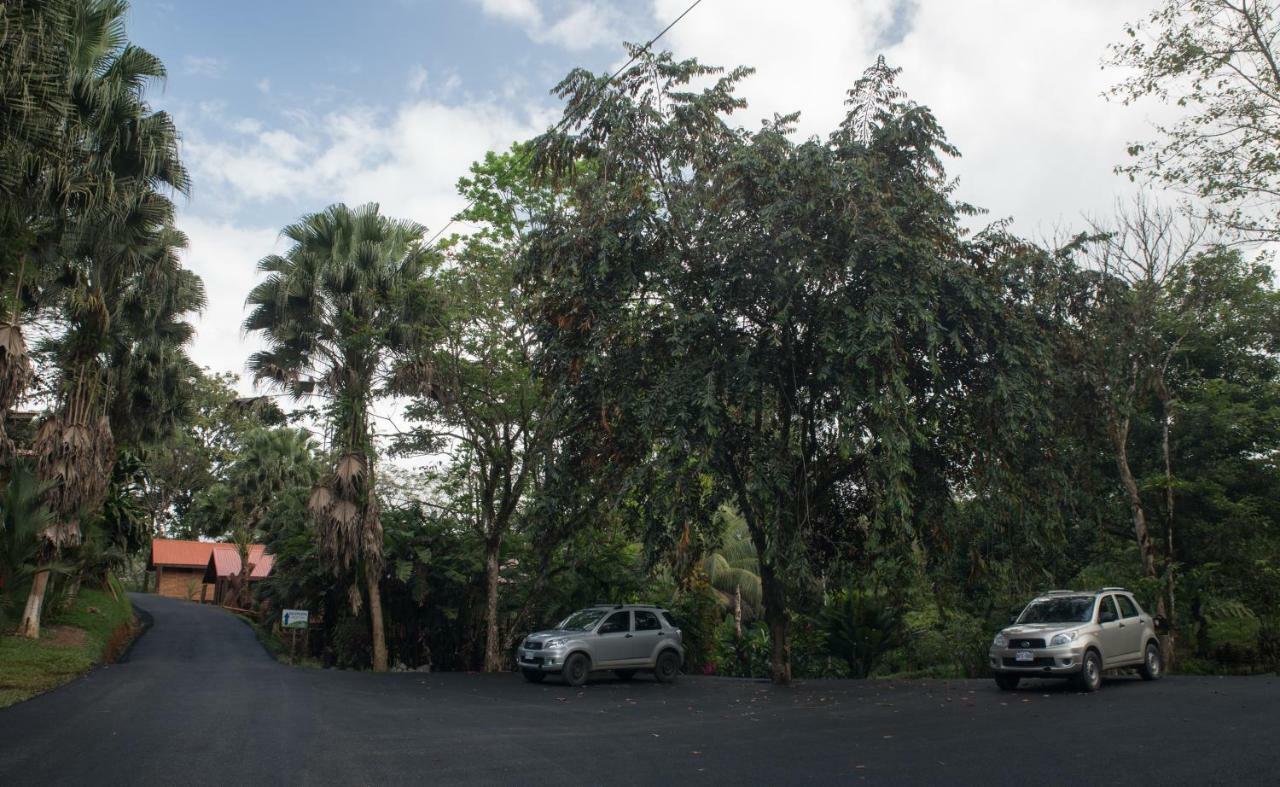 Boca Tapada Hotel Pedacito De Cielo מראה חיצוני תמונה